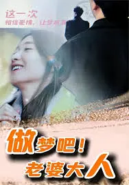 做梦吧！老婆大人 海报
