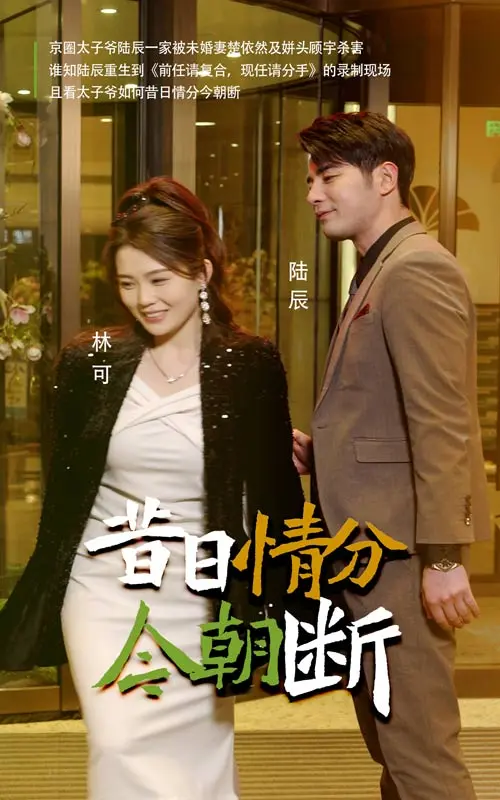 《昔日情分今朝断》：一场关于错失与遗憾的时代挽歌，细腻情感描绘爱恨纠葛