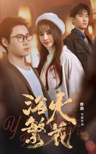 《欲火繁花》：欲望与野心的极致碰撞，一场献给黑色电影的癫狂颂歌