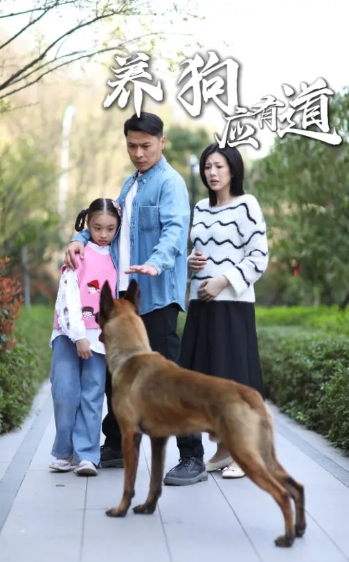 《养狗应有道》：治愈系暖宠喜剧，让爱与责任成为我们最好的《生存游戏》