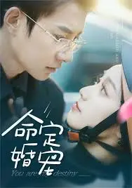 《命定婚宠》：爱情的归宿，是彼此的救赎与成就，一次关于真爱的深度解读！