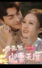 《傅先生宠妻无度》：当霸道总裁遇上甜心小娇妻，爱情火花瞬间点燃！