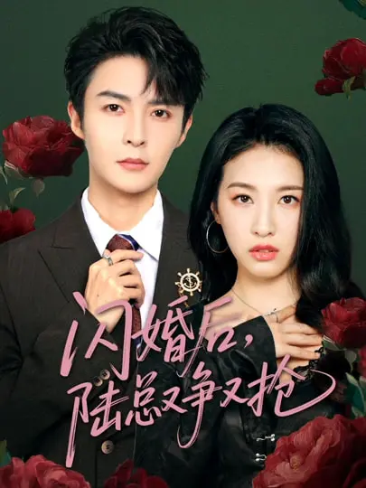 闪婚后陆总又争又抢：霸道总裁的疯狂追妻，契约婚姻的极致浪漫！