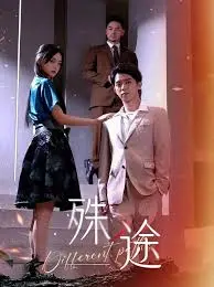 《殊途》：两条生命轨迹的交汇与碰撞，揭示命运的无常与人性的复杂。